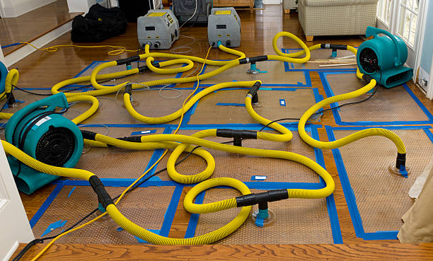 Professional Crawl Space Water Removal technician working in White Cloud, MI